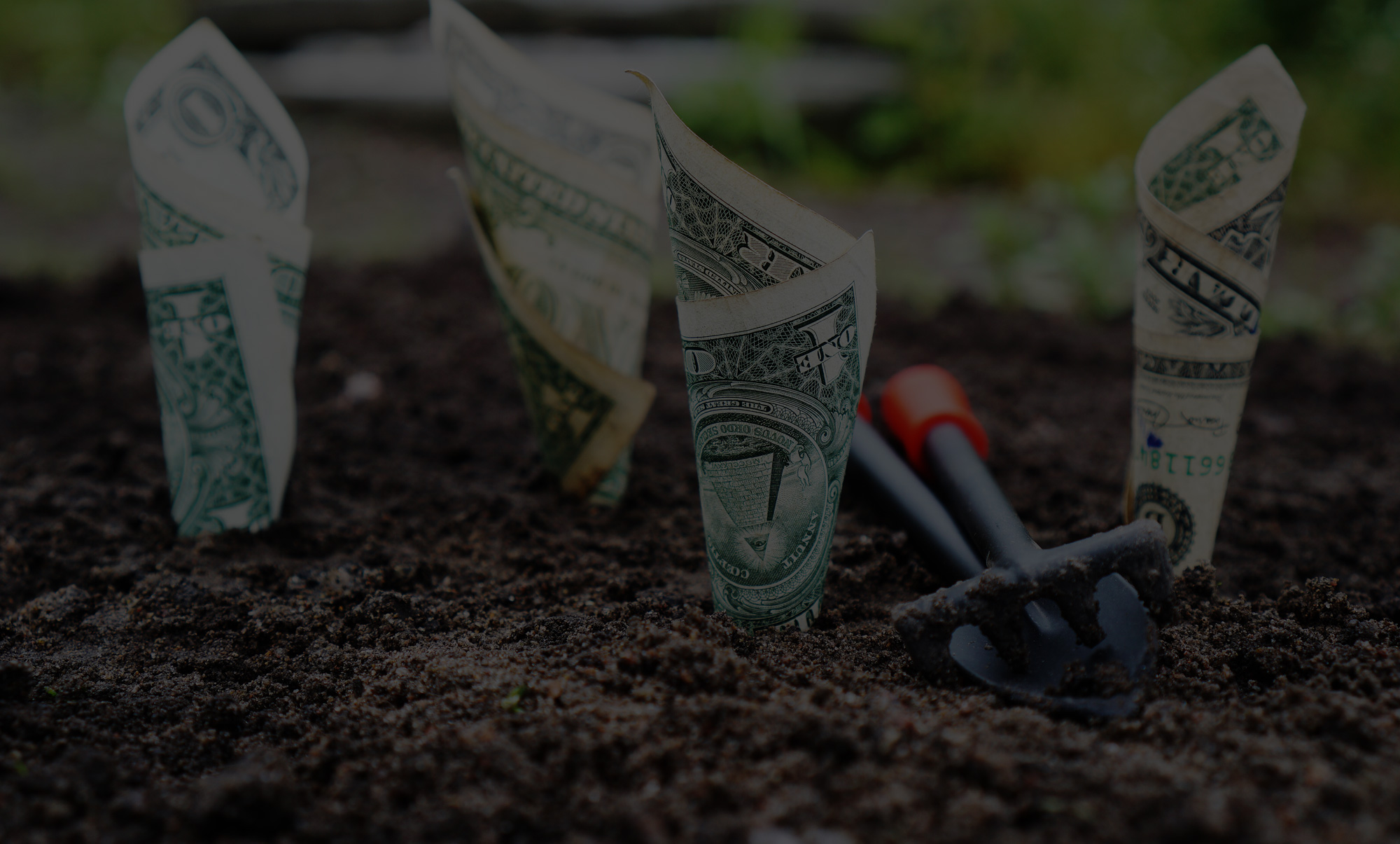 Creators – Staging